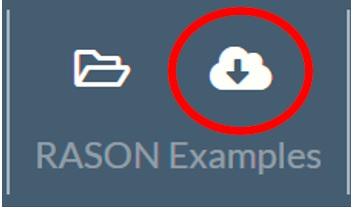 Data Icon on Rason ribbon